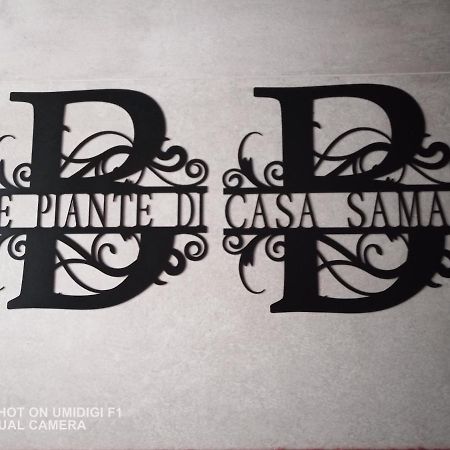 CastelguelfoLe Piante Di Casa Samar住宿加早餐旅馆 外观 照片