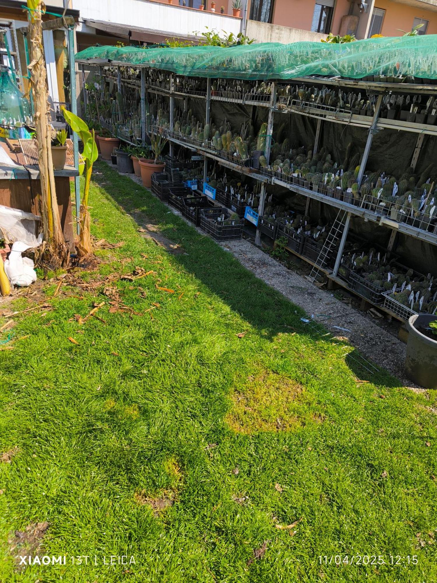 CastelguelfoLe Piante Di Casa Samar住宿加早餐旅馆 外观 照片